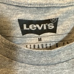 Levi’s Men’s Gray Graphic Logo T-Shirt Crew Neck Short Sleeve Cotton M