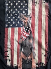 Fruit of the Loom Flag & Doberman Pinscher Shirt Mens Med Graphic Patriotic