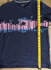 Old Navy Beach Sunset￼Palmtree T-Sirt