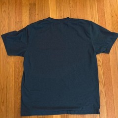 Carhartt bundle of two logo t-shirts in size Men’s loose fit Large Gray & Green