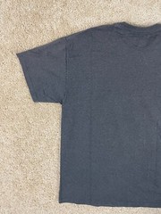 Champion Casual Basic T-Shirt Mens XL Crew Neck Central Spell Out Graphic Gray