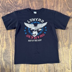 Lynyrd Skynyrd 2013 40th Anniversary Tour Shirt Medium Anvil Black Band Tee