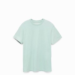 Original Favorites 100% Supima Cotton – Seafoam Green – Sizes – T Shirt Blank
