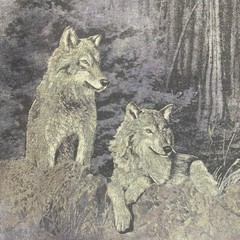Vintage Wolf Shirt Lg Acid wash Single stitch Grunge outdoors Animals Hanes PFD
