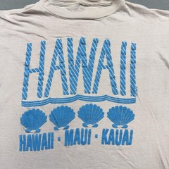 Vintage Poly Tees Shirt Mens Large White Hawaii Maui Kauai Graphic 1988 Beach