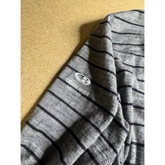 Icebreaker Merino Bodyfit 200 Mens Small Grey Striped Long Sleeve Base Layer Top