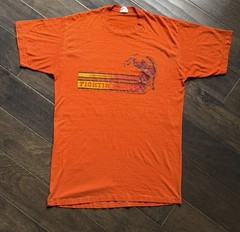 Vintage 80s Illinois Fighting Illini T-shirt Thin Soft Single Stitch
