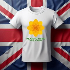 Plaid Cymru T-Shirt, Vote for Plaid Cymru tshirt, UK Elections 2024 t-shirt