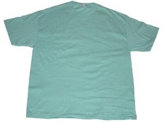 Alstyle Apparel & Activewear AAA Men’s Classic Solid Plain T-Shirt Pack Of 1 pc