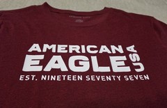 Mens American Eagle Lot Of 2 T-Shirts Size L