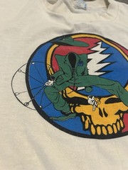 Grateful Dead Dead on the Rocks High in the Downs Colorado T-Shirt Mens L 1983