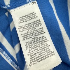 Polo Ralph Lauren Mens Large T-Shirt Blue White Striped Classic Fit NWT