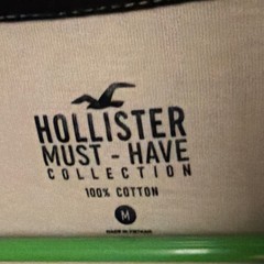 Hollister Men’s Must-Have Collection Pink Solid Logo Crew Neck Tee Size M
