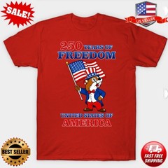 Double-Sides Buc Ee’s America 250 Anniversary T-Shirt repriint S-3XL