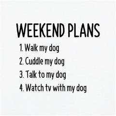 Weekend Plans With My Dog – Mens Ringer – Dogs Doggy Puppy Love Pet