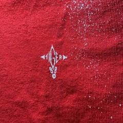 Vintage Tiger 1988 Native American Mens TShirt Red Stickball Woman Moon Sz XL