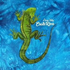 Mens Blue Tie Dye Pura Vida Costa Rica Iguana Graphic T-Shirt. No Size Tag.