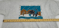 NSGIC 1992 Santa Fe National States Geographic Information Council T-Shirt XXL