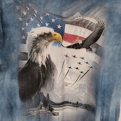The Mountain T-shirt American Flag Eagle Blue Tye Dye Size XL Mens Country Jets