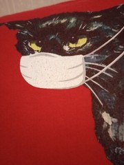 Black Cat Hiss Off Shirt Mask Wearing Funny Meow Cat Red Tshirt Pandemic Top