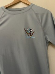 Disney Blizzard Beach Sports Activewear Gym T-Shirt S Grey Logos Good Condition