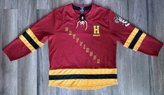 Harry Potter Gryffindor Hockey Jersey Men Large Multicolor BoxLunch Lace Up XL