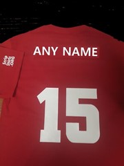 Atlanta Falcons CUSTOM Name & Number T-Shirt Jersey Personalized Tee New