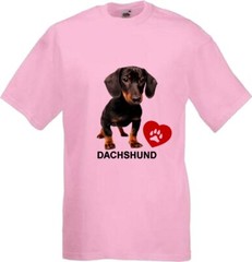 Dachshund Dog Pet Family Friend Novelty T Shirt Various Colours And Sizes