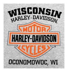 Harley-Davidson Men’s T-Shirt, Long Sleeve Tee, Heritage H-D Gray 30296638