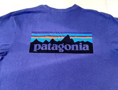 Patagonia Men’s Casual Crew Neck T-Shirt Short Sleeve, Size Medium , Blue