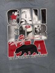 California Republic Graphic T-Shirt – Cali Bear Lip Print Streetwear Tee Sz M