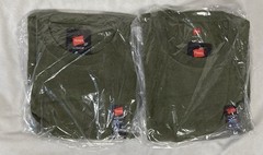 Lot Of 2 Hanes Mens Ultimate X-Temp T-Shirt Size L Crew Neck Short Sleeve Green