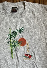 Vintage Travel Laos Don Sao Bamboo Embroidered T-Shirt Large Gray