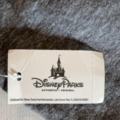 Disney Parks Shirt Mens Large Gray Part Time Beast Graphic Long Sleeve Raglan
