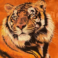 The Mountain Shirt Graphic T Mens Tiger Orange Tie Dye XL Cotton Y2K Big Cat