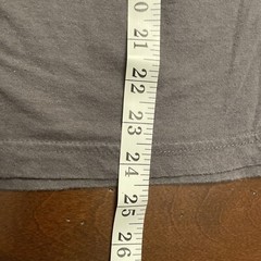 Skateboard Shirt What Could Possibly Go Wrong Grey Small District Made SCI
