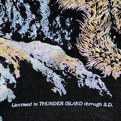 VTG 1995 Gardner Black Sz L EAGLE Graphic T-Shirt 90s NATURE EUC