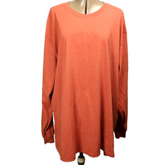 Carhartt Long Sleeve Tee Shirt COLOR VARIES Logo Spellout Sleeve Dark Orange 2XL