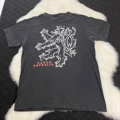 Czech Republic Shirt Mens Small Graphic Lion Crest National Team Souvenir Tee
