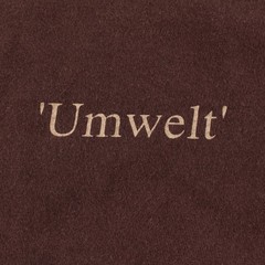 Umwelt human animal science nature ringer t-shirt XL american apparel y2k tee