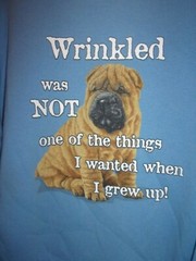 Dog SHARP PAI blue L sweatshirt Wrinkle Dog