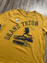 2000s New Agenda Grand Teton National Park Graphic T-Shirt Yellow