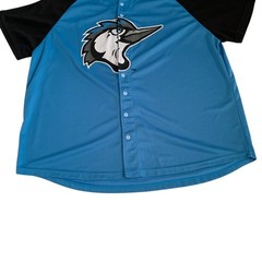 Success Brand MiLB Adult Men’s Size XL Fayetteville Woodpeckers #22 Mesh Jersey