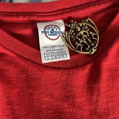 Washington DC USA Embroidered Graphic Tee Men’s Size L Red Delta Pro Weight