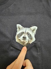 Funny Raccoon Shirt – Humor Raccoon Hidden Middle Finger Pocket – Raccoon