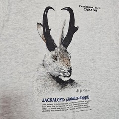 Vtg 90s Jackalope T Shirt Mens M Canada Fruit Of The Loom Single Stitch Hunting