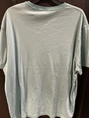 Daniel Cremieux Signature Collection Men’s XL Green/White Striped Pima Tee