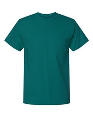 Champion Unisex Classic T-Shirt – T425
