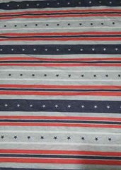 Americana Tee T-Shirt American Stripes Color Size XL/XG 46-48 (LOC TUB-94)