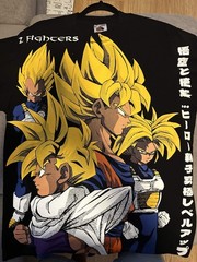 Dragon Ball Z / Z Fighters T-Shirt – L